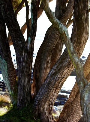 The Grace of a Quiet Place